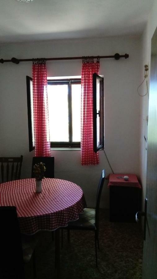 Apartman "Tartaruga" 卢科沃 外观 照片