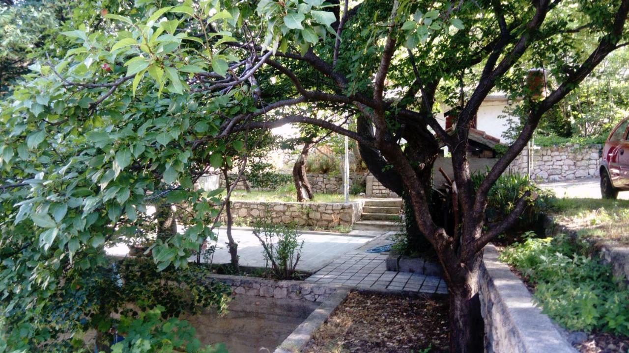 Apartman "Tartaruga" 卢科沃 外观 照片